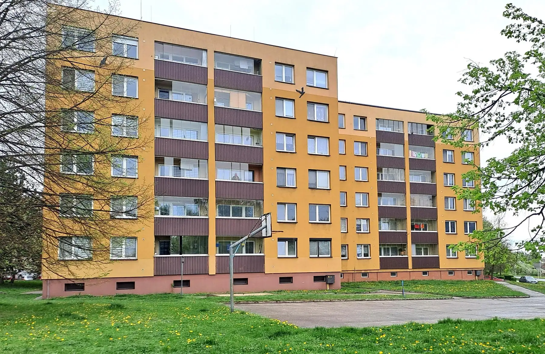 Orlová, Adamusova